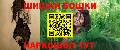 индика Нижний Тагил