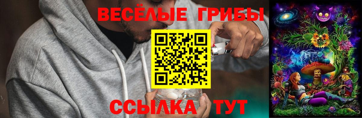 Галлюциногенные грибы мицелий  Галлюциногенные грибы Psilocybe  Вход с VPN  где купить наркоту  Владикавказ 